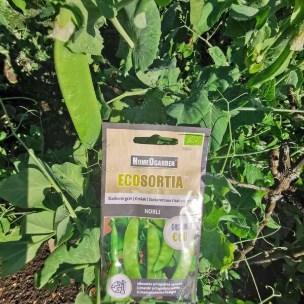 Sladkorni grah Norli