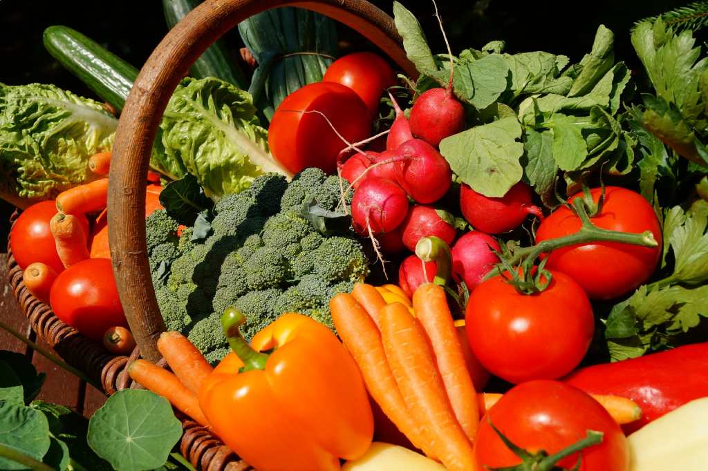 veganstvo vrtnarjenje