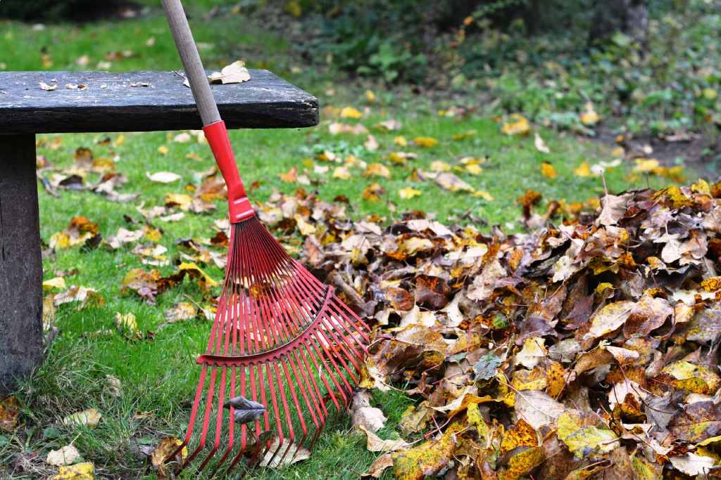 Gartenarbeit im November