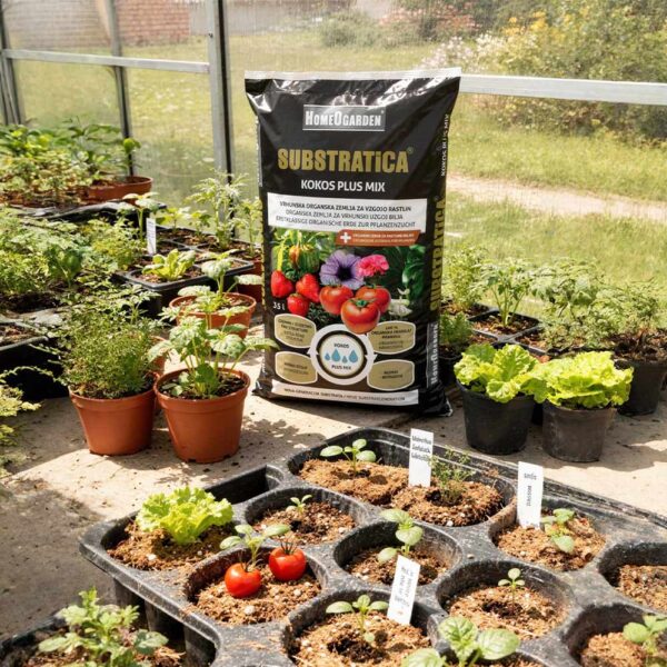 zgoja sadik v kokosovem substratu v rastlinjaku, zračen in lahek substrat za korenine